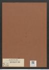 Eunotia bactriana Ehr. (de-Toni-Nr.: Genus 104, Species 3170) Zeichnungen Sammlung Grunow Mappe 03415 (Herbarium_W_Grunow_drawings_Folder_03415)